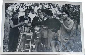 COLO LA PEYROUSE 195X 008 LES MARMITONS